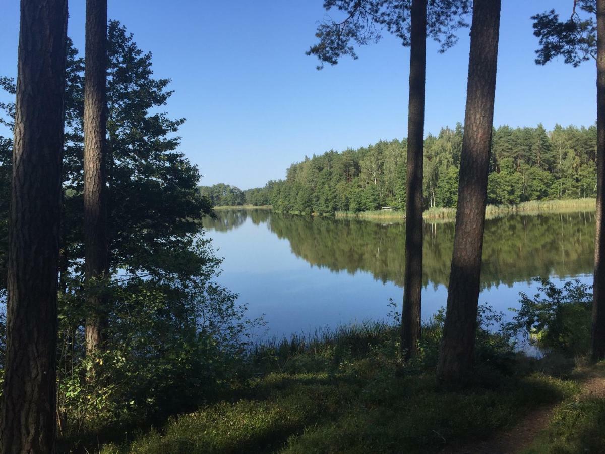 Ferienwohnung Chatka Mojego Dziadka Dlugie  Exterior foto