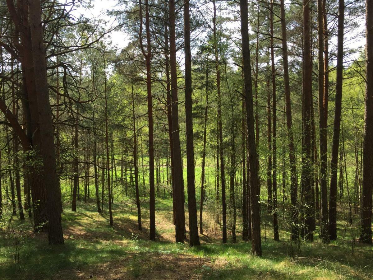 Ferienwohnung Chatka Mojego Dziadka Dlugie  Exterior foto